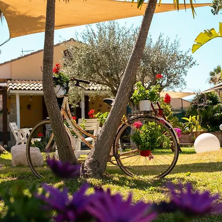 Oasi Hébergement de vacances