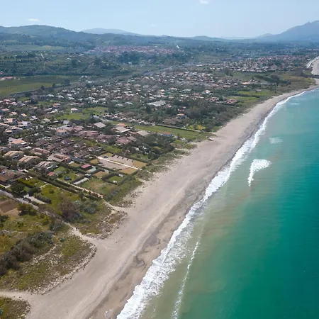 Oasi