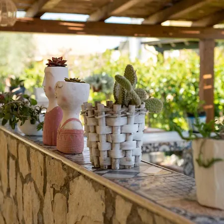 Hébergement de vacances Oasi